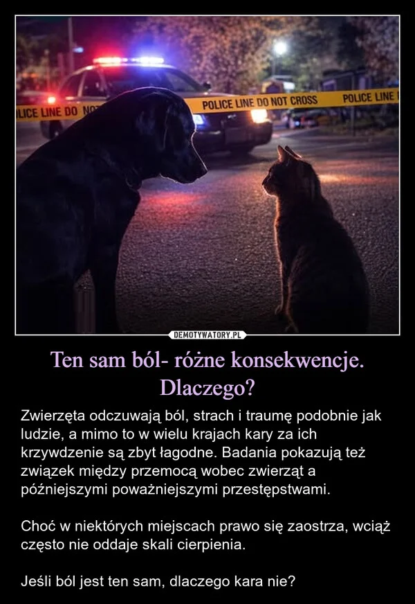 
    Ten sam ból- różne konsekwencje. Dlaczego?