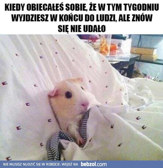 
    Znów się nie udało