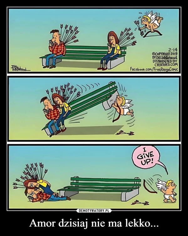 
    Amor dzisiaj nie ma lekko...
