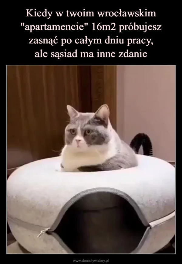 
    Kiedy w twoim wrocławskim 