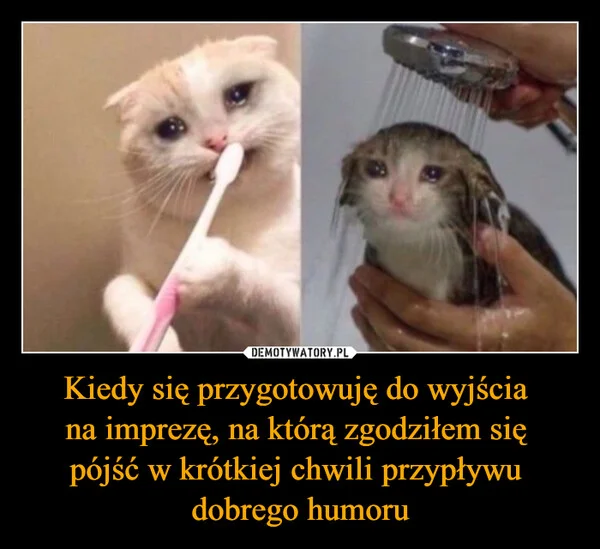 Kiedy się przygotowuję do wyjścia na imprezę, na którą zgodziłem się pójść w krótkiej chwili przypływu dobrego humoru