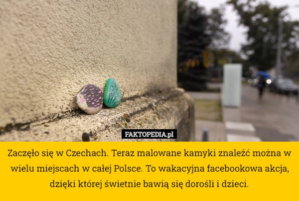 
    Zaczęło się w Czechach. Teraz malowane kamyki znaleźć można w wielu miejscach