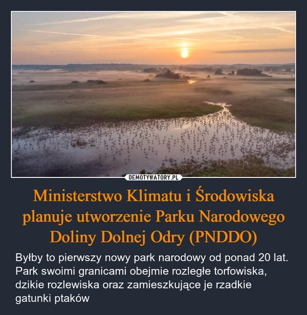 
    Ministerstwo Klimatu i Środowiska planuje utworzenie Parku Narodowego Doliny Dolnej Odry (PNDDO)