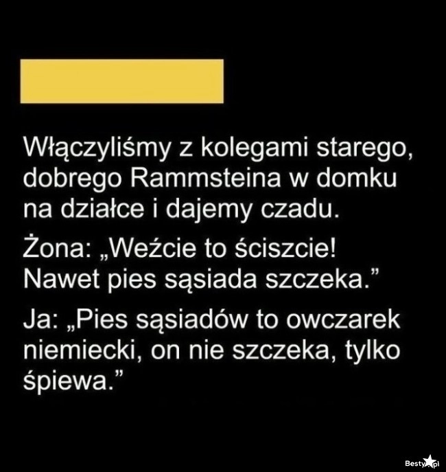 
    Pies sąsiadów 