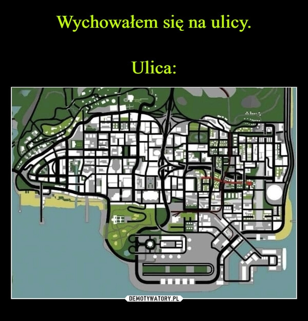 
    Wychowałem się na ulicy.

Ulica: