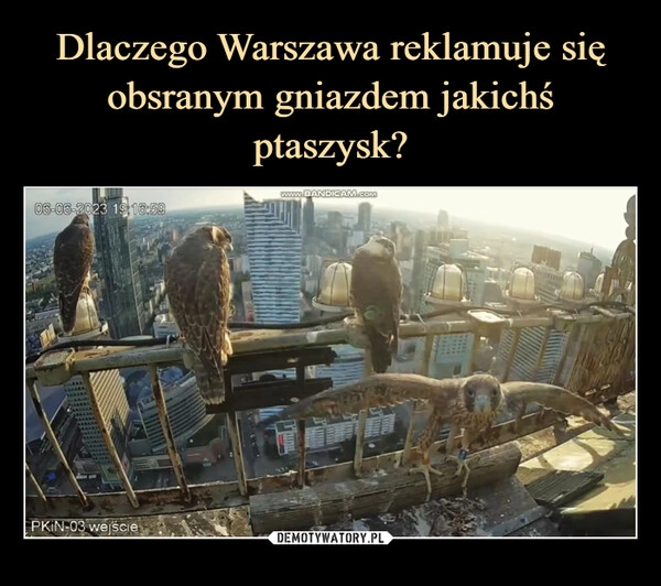 
    Dlaczego Warszawa reklamuje się obsranym gniazdem jakichś ptaszysk?