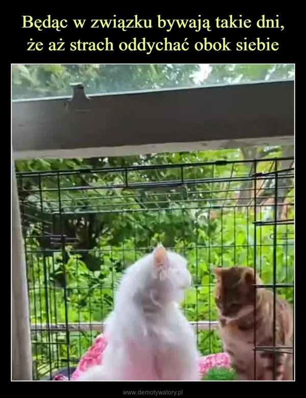 
    Będąc w związku bywają takie dni, że aż strach oddychać obok siebie
