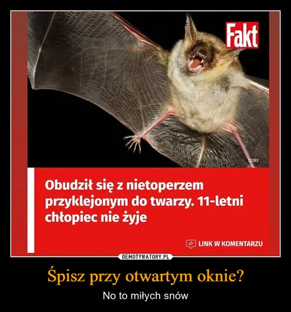 Śpisz przy otwartym oknie?