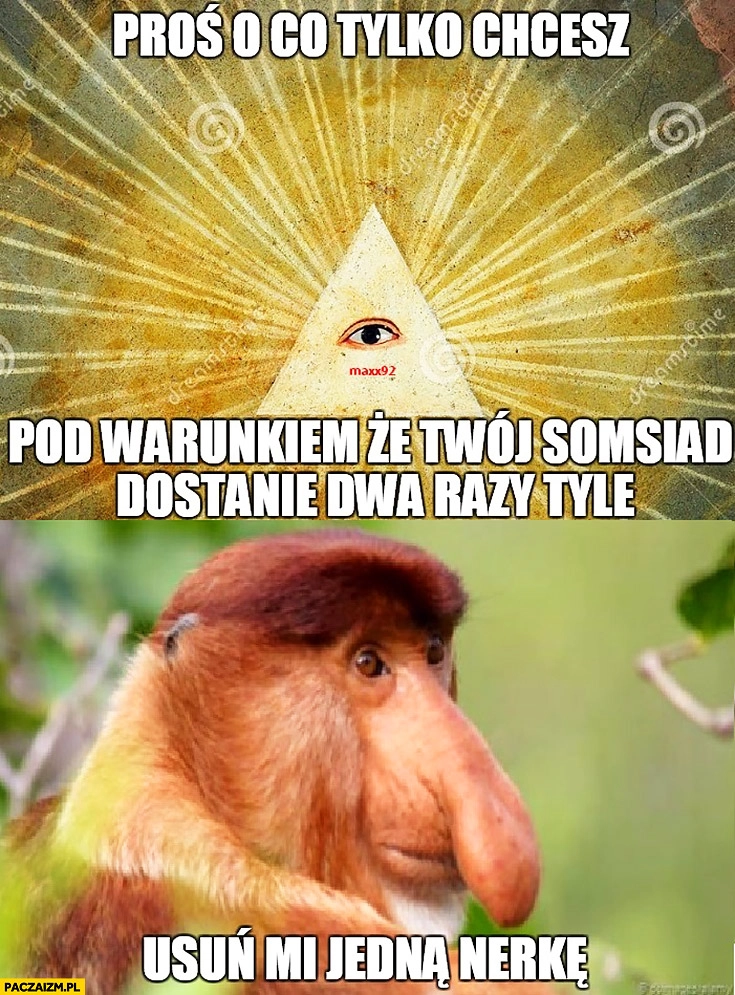 Bóg: proś o co tylko chcesz pod warunkiem, że Twój sąsiad dostanie dwa razy tyle. Usuń mi jedna nerkę typowy Polak nosacz małpa