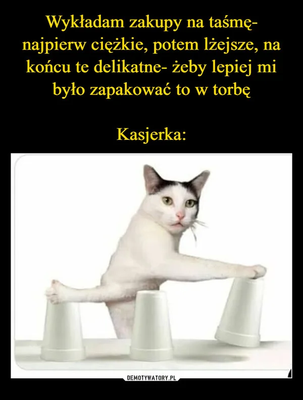 
    Wykładam zakupy na taśmę- najpierw ciężkie, potem lżejsze, na końcu te delikatne- żeby lepiej mi było zapakować to w torbę Kasjerka: