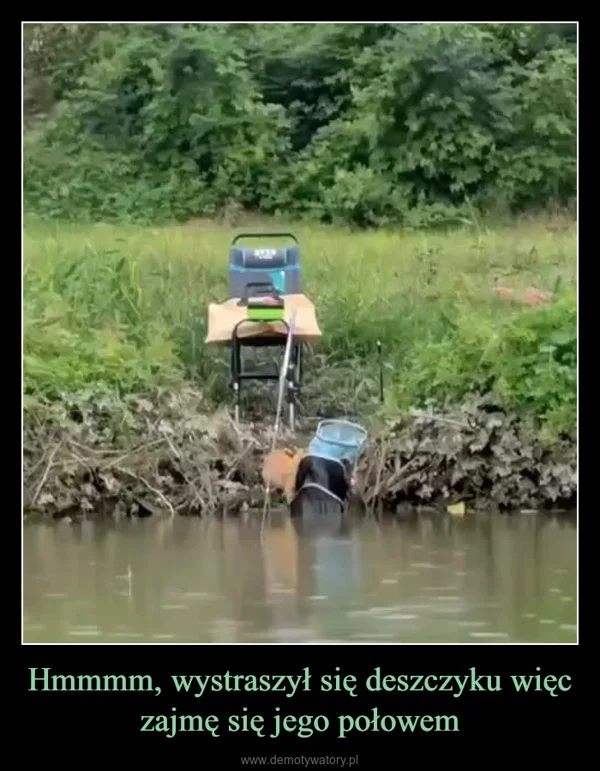 
    Hmmmm, wystraszył się deszczyku więc zajmę się jego połowem