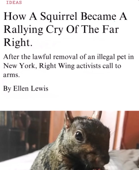 
    Damn the Far right and their *checks notes* ...love of cute squirrels?