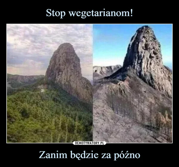 
    Stop wegetarianom! Zanim będzie za późno