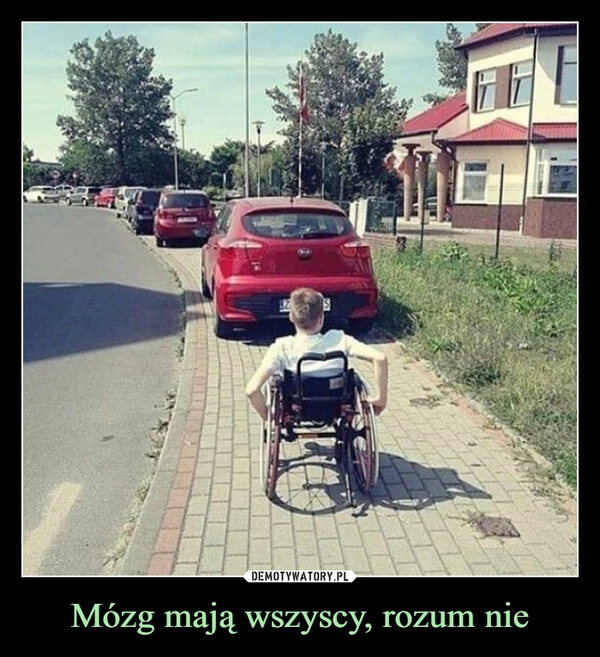 
    Mózg mają wszyscy, rozum nie