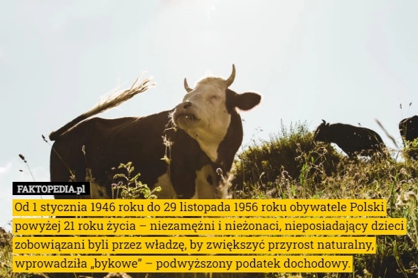 
    
			Od 1 stycznia 1946 roku do 29 listopada 1956 roku obywatele Polski powyżej					