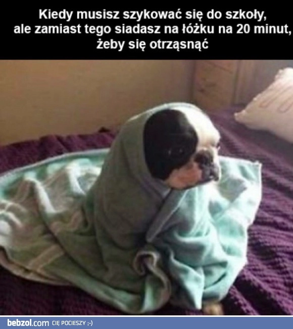 Dochodzę do siebie