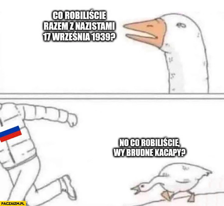 
    Gęś do ruskich co robiliście razem z nazistami 17 września 1939 no co robiliście wy brudne kacapy