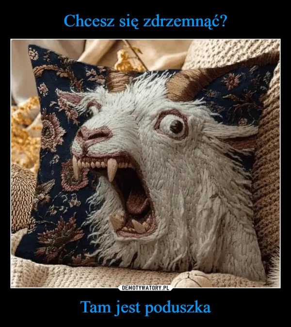 
    Chcesz się zdrzemnąć? Tam jest poduszka