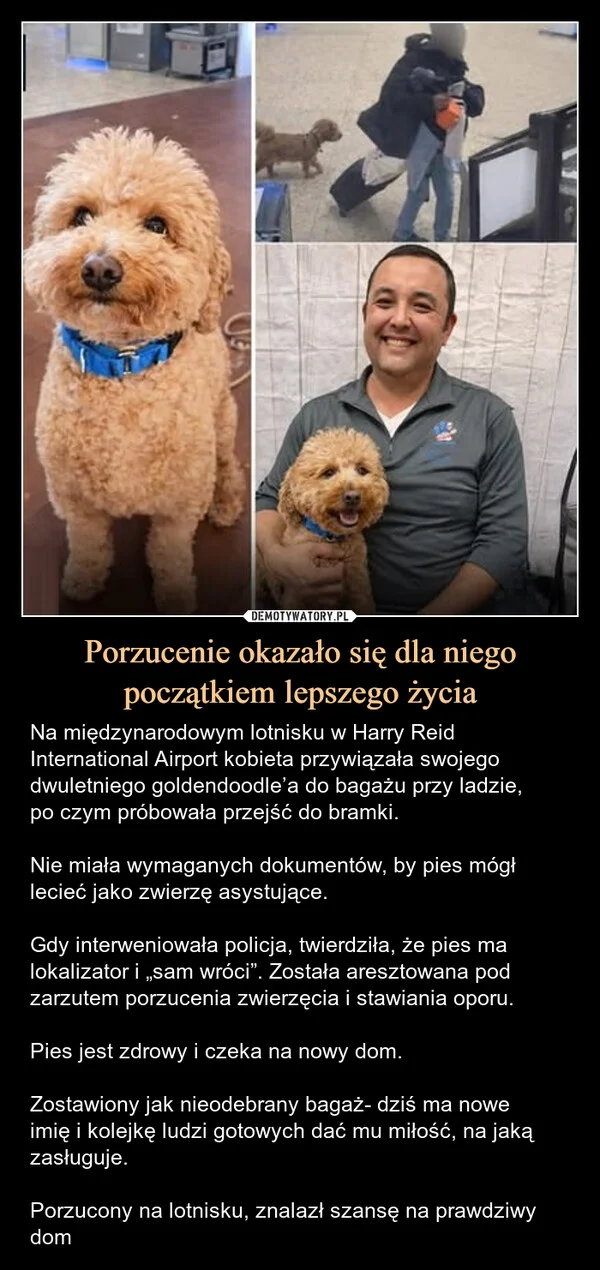 
    Porzucenie okazało się dla niego początkiem lepszego życia