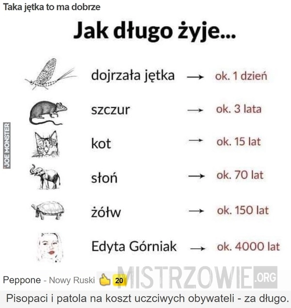 
    
			Taka jętka to ma dobrze					