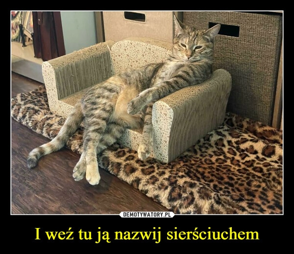 
    I weź tu ją nazwij sierściuchem