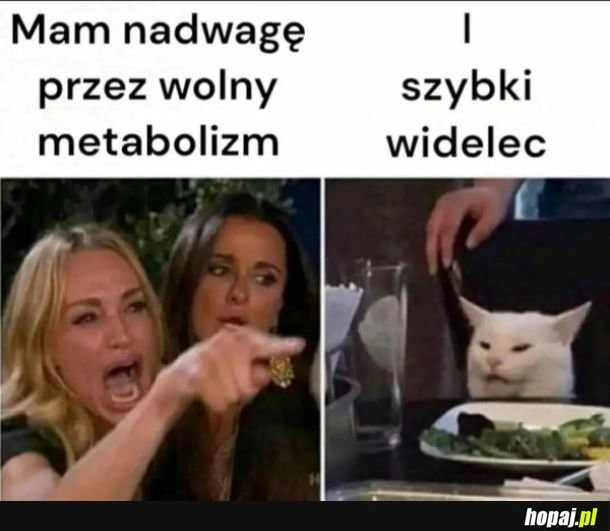 
    Wolny metabolizm