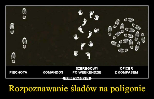 
    Rozpoznawanie śladów na poligonie