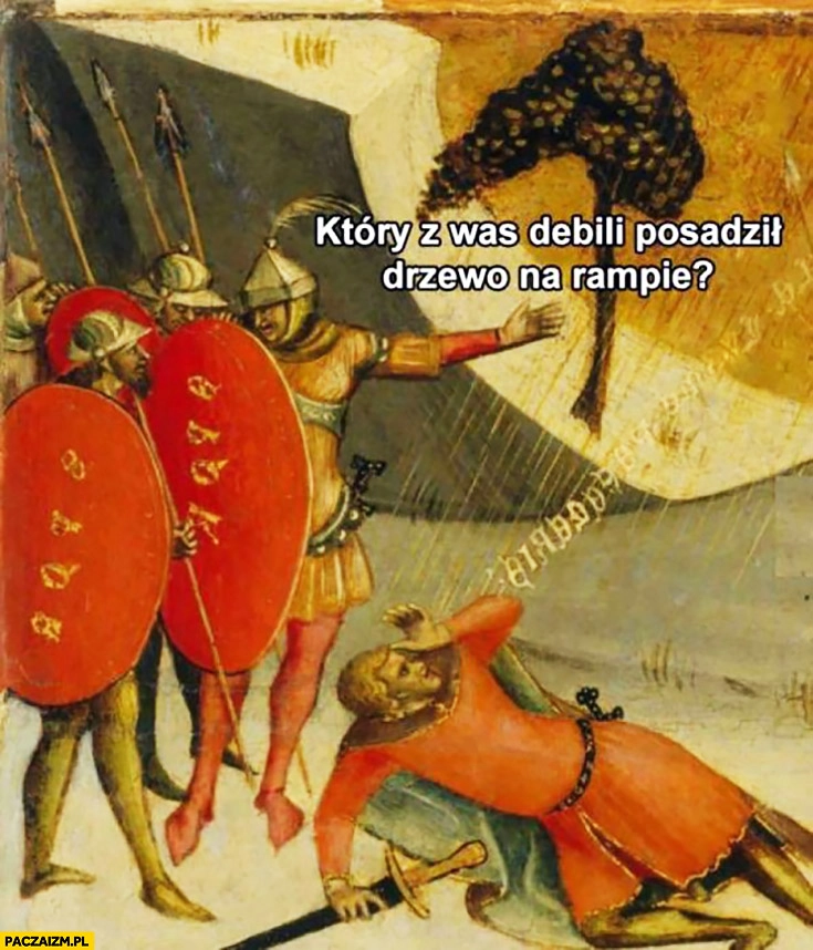 
    Który z was debili posadził drzewo na rampie? Średniowieczne memy