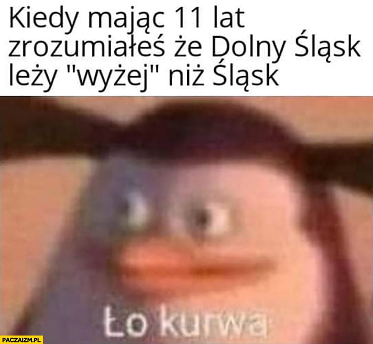 
    Kiedy mając 11 lat zrozumiałeś, że Dolny Śląsk lezy wyżej niż Śląsk