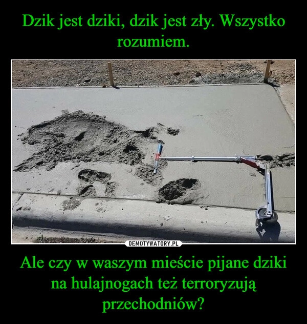 
    Dzik jest dziki, dzik jest zły. Wszystko rozumiem. Ale czy w waszym mieście pijane dziki na hulajnogach też terroryzują przechodniów?