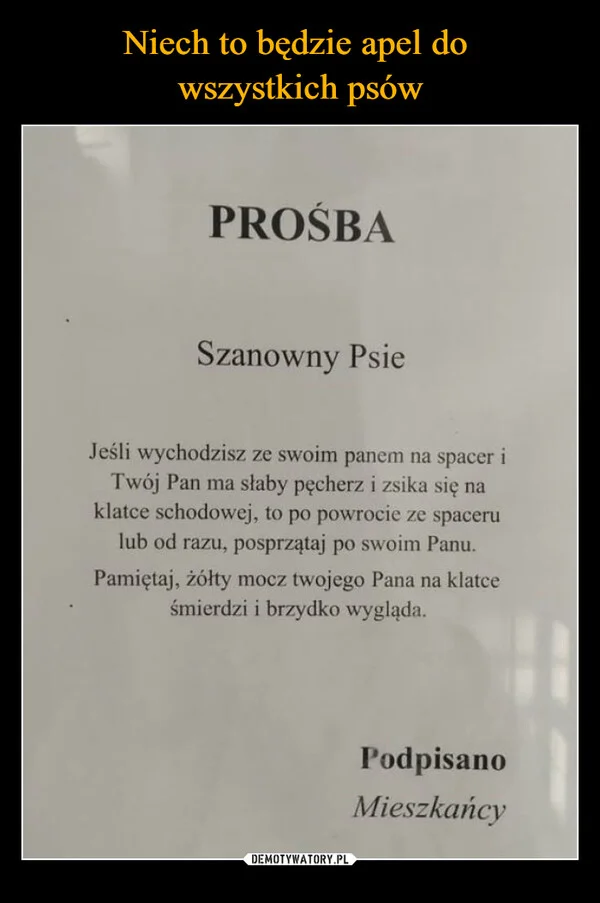 
    Niech to będzie apel do wszystkich psów