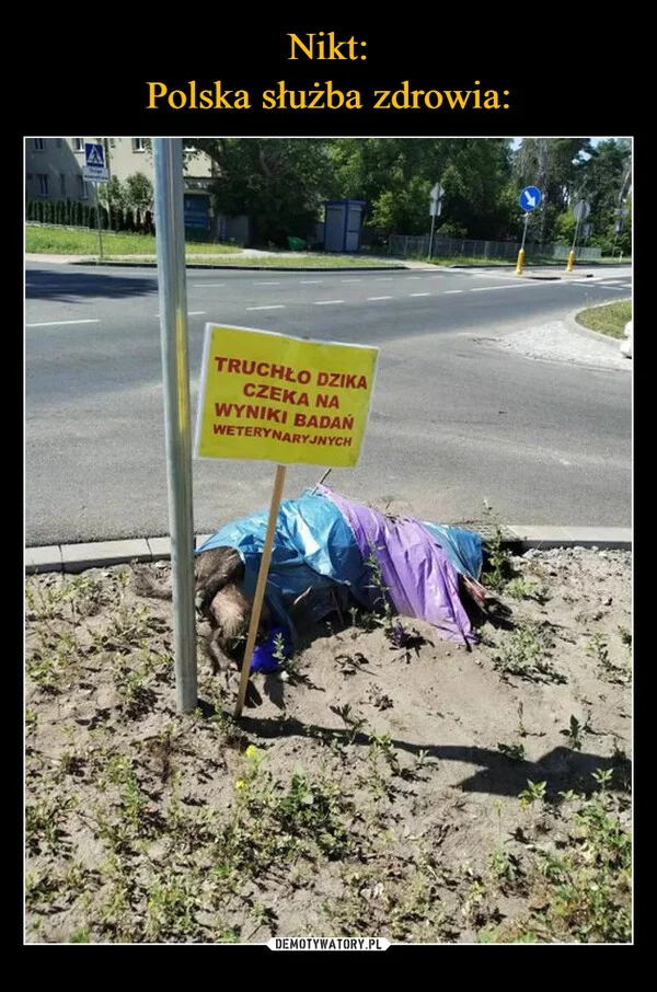 
    Nikt: Polska służba zdrowia: