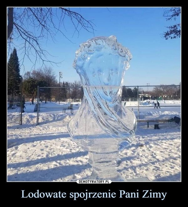 
    Lodowate spojrzenie Pani Zimy