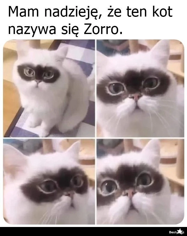 
    Perfekcyjne imię 