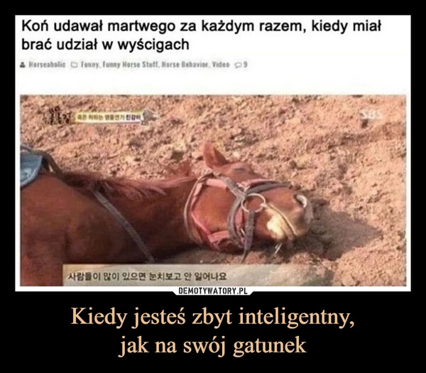 
    Kiedy jesteś zbyt inteligentny,
jak na swój gatunek