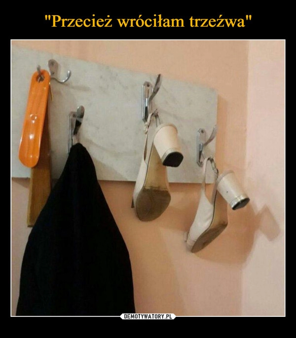 
    "Przecież wróciłam trzeźwa"