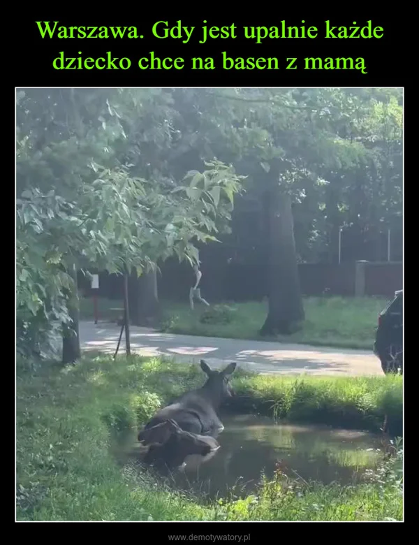 
    Warszawa. Gdy jest upalnie każde dziecko chce na basen z mamą
