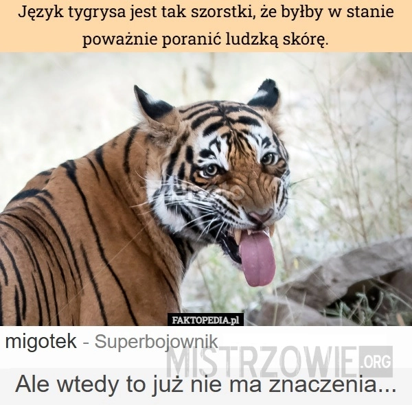 
    Język