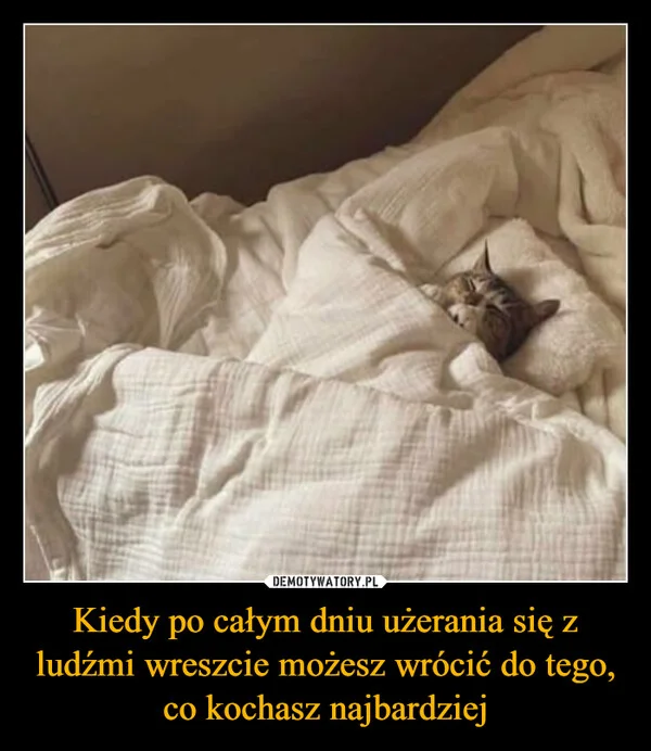 
    Kiedy po całym dniu użerania się z ludźmi wreszcie możesz wrócić do tego, co kochasz najbardziej