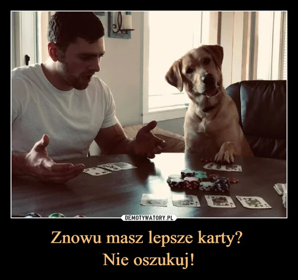 
    Znowu masz lepsze karty? Nie oszukuj!