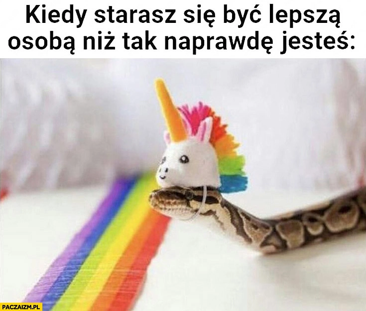 
    Kiedy starasz się być lepszą osobą niż tak naprawdę jesteś wąż przebrany za jednorożca