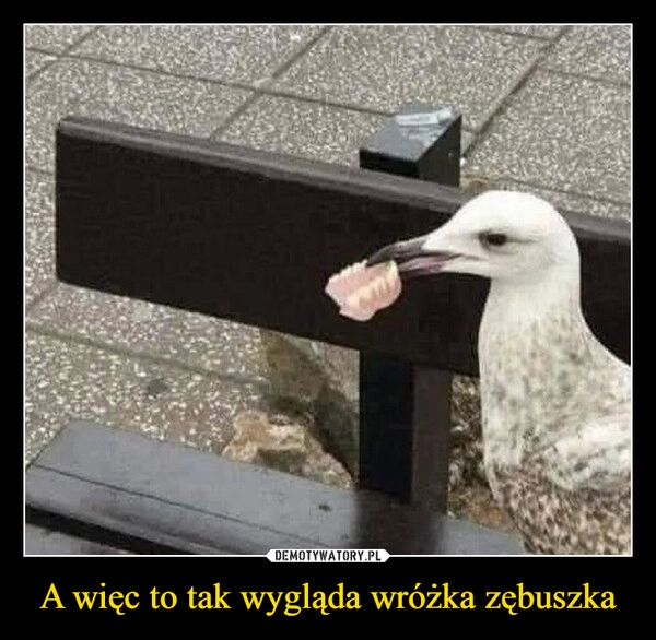 
    A więc to tak wygląda wróżka zębuszka