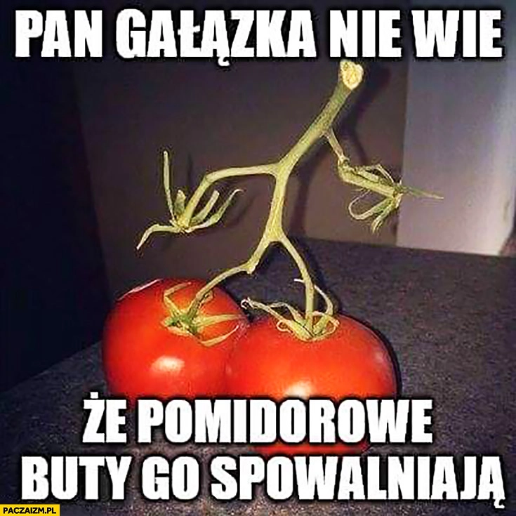 Pan gałązka nie wie, że pomidorowe buty go spowalniają