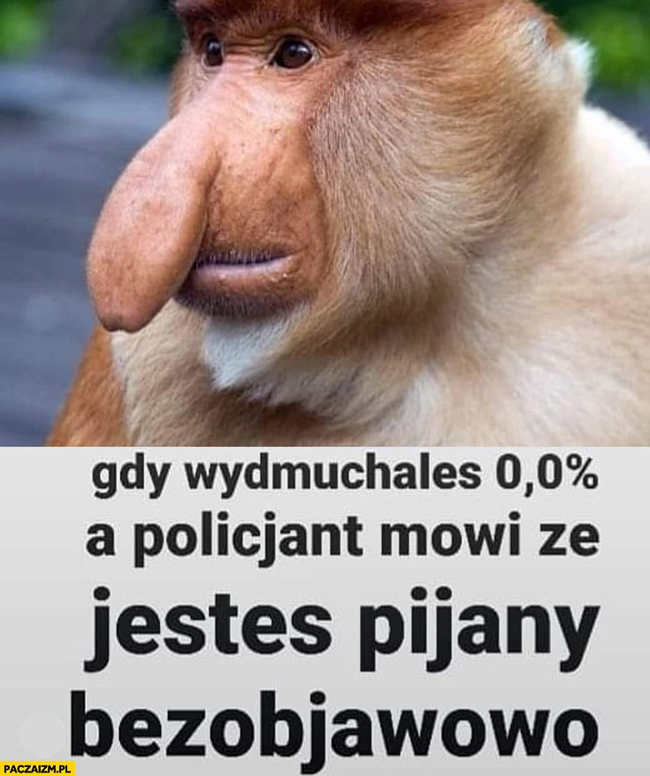 
    Gdy wydmuchałeś 0 procent a policjant mówi, że jesteś pijany bezobjawowo