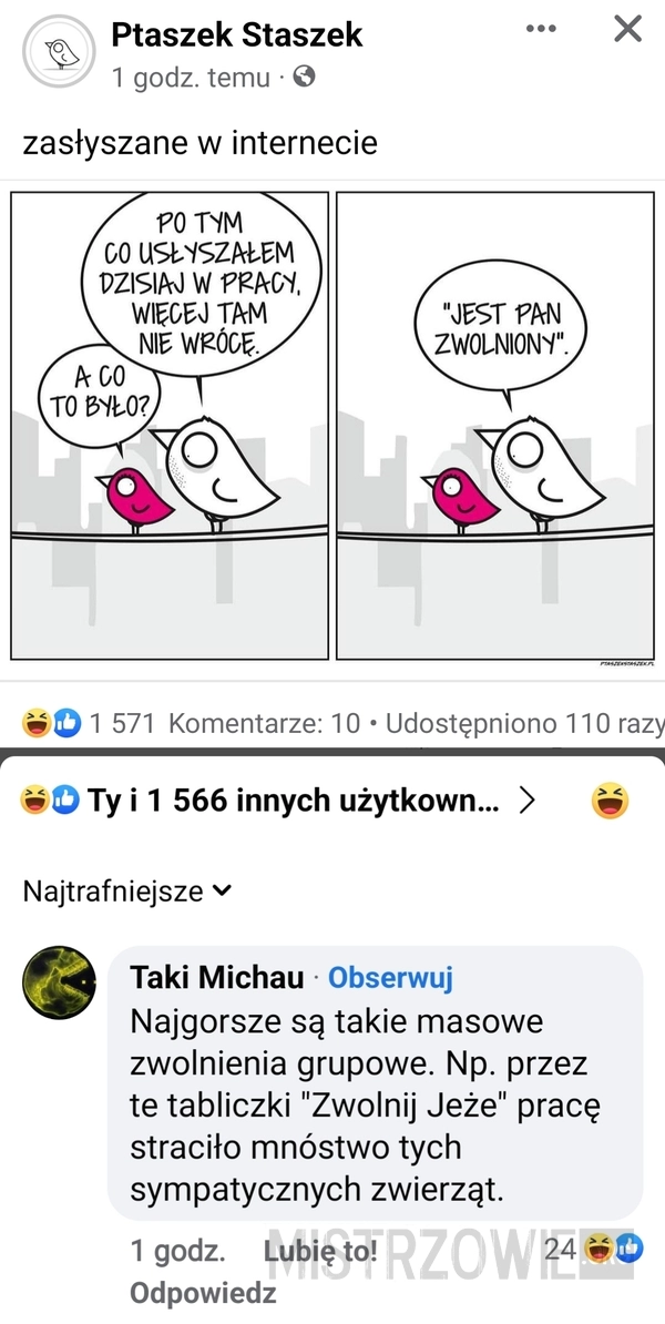 
    Zasłyszane w internecie