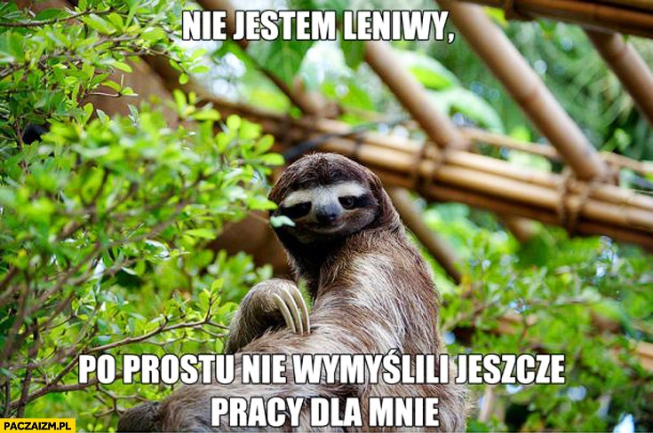 
    Nie jestem leniwy po prostu nie wymyślili jeszcze pracy dla mnie leniwiec