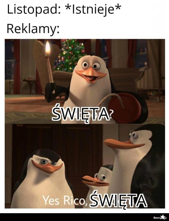 
    Reklamy w listopadzie 