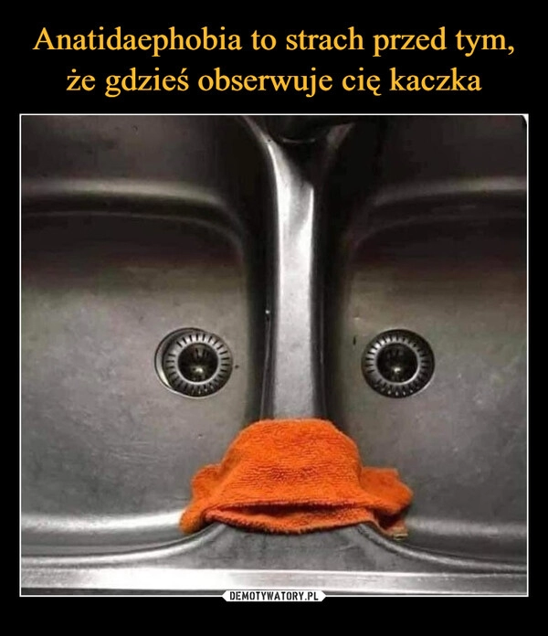 
    Anatidaephobia to strach przed tym, że gdzieś obserwuje cię kaczka