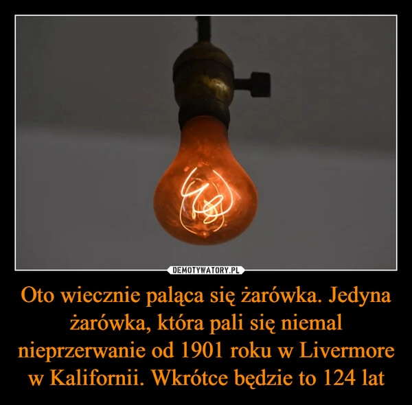 
    Oto wiecznie paląca się żarówka. Jedyna żarówka, która pali się niemal nieprzerwanie od 1901 roku w Livermore w Kalifornii. Wkrótce będzie to 124 lat