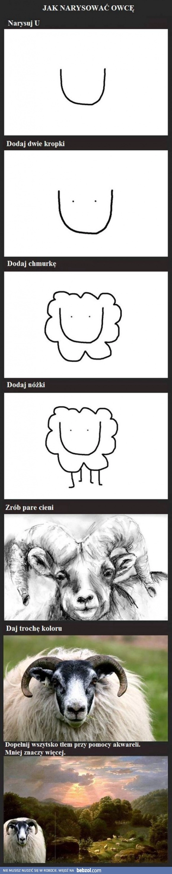 
    Jak narysować owcę?